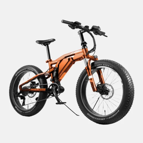 product-image-10_3 Aliquam Sodales